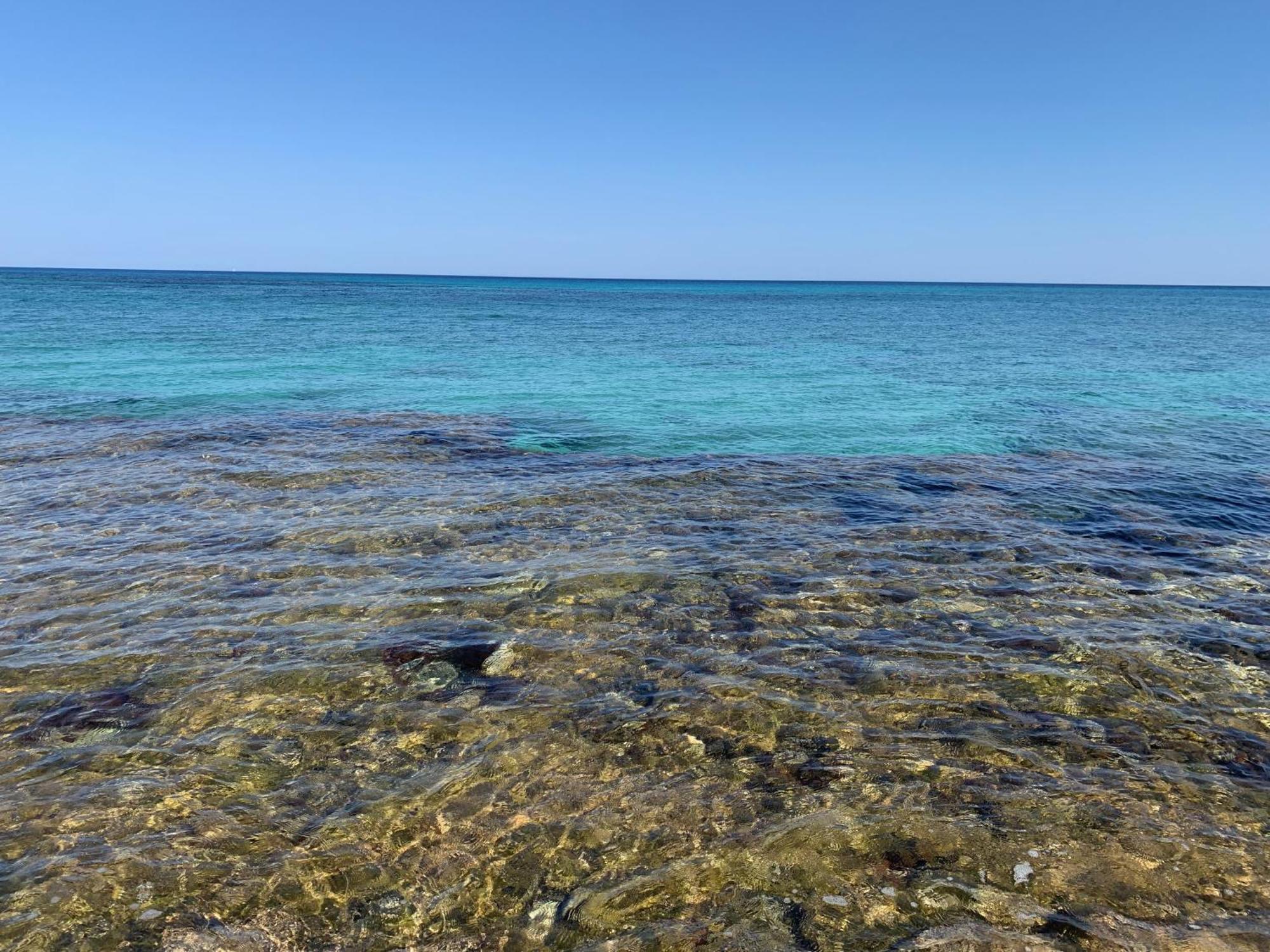 L'Oasi Una Pineta Sul Mare Custonaci Exterior photo